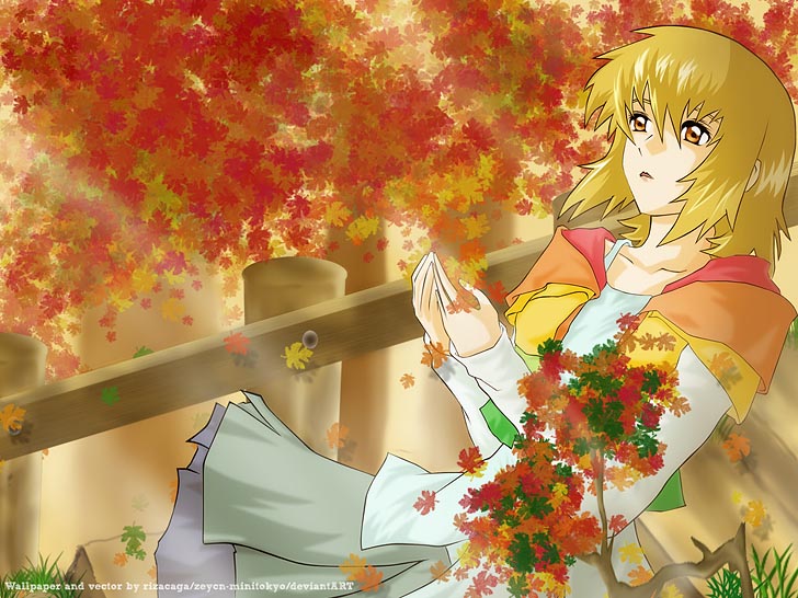 机动战士高达SEED DESTINY图集（1）