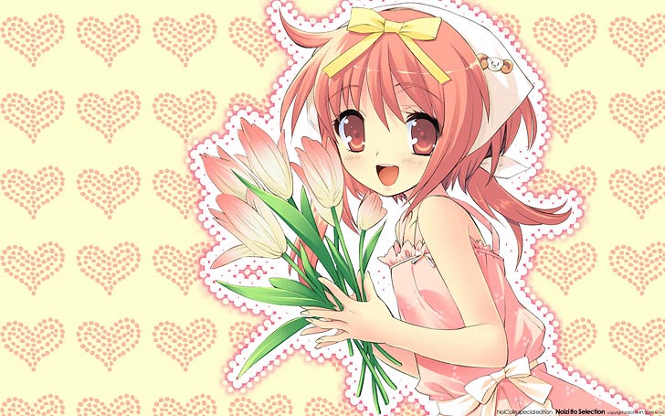 七色星露图片（1）