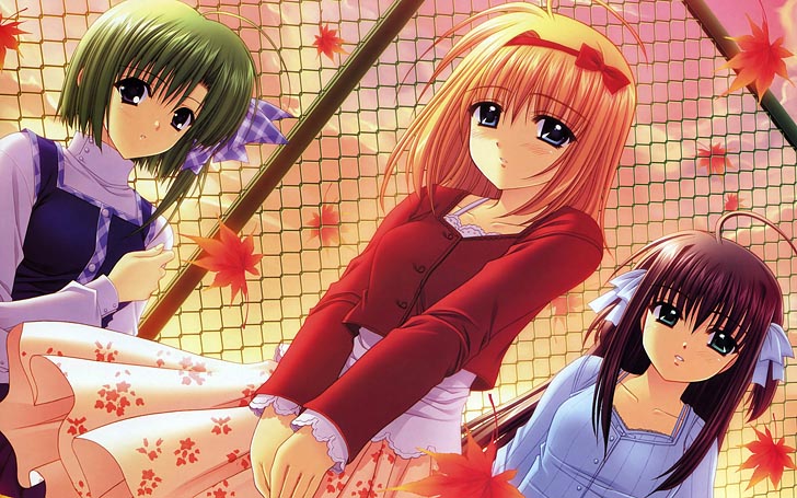 Really？Really!图集（1）