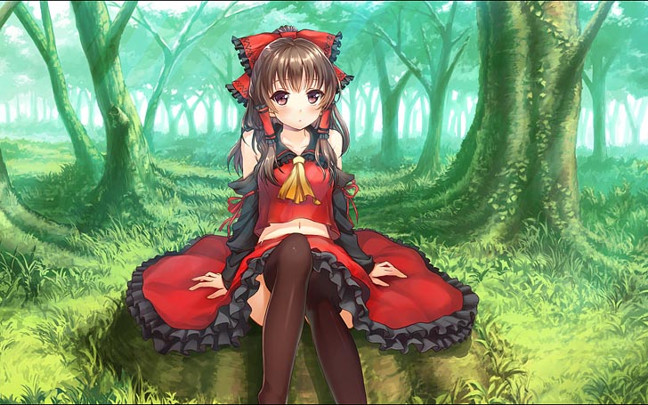 博丽灵梦图片（1）